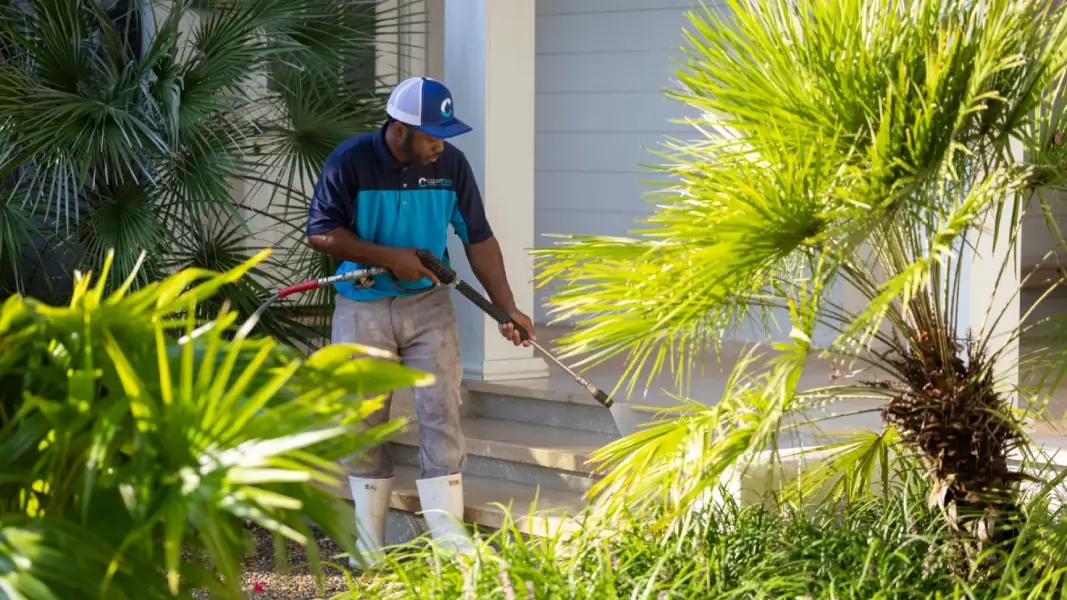 professional pressure washing