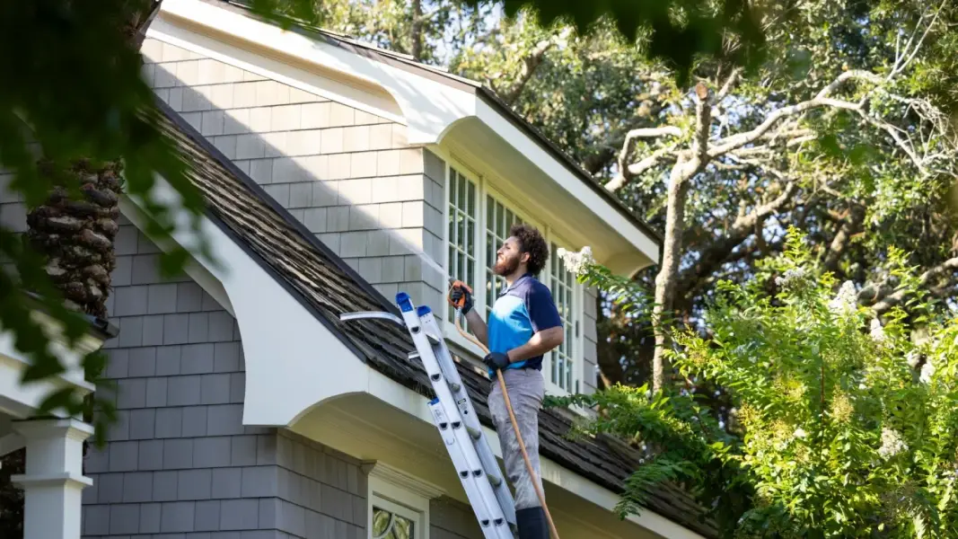 professional roof washing